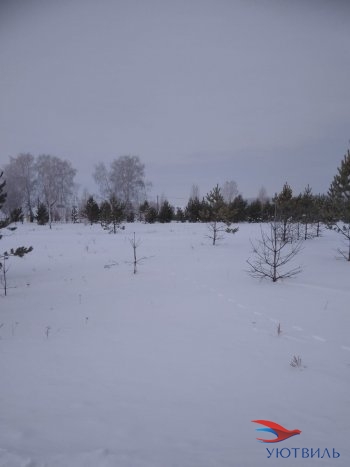Земельный участок поселок Баженово в Верхней Салде - verhnyaya-salda.yutvil.ru - фото 2