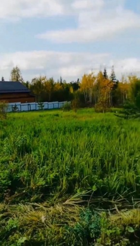 ДП Родной в Верхней Салде - verhnyaya-salda.yutvil.ru