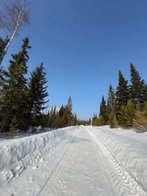 ДП Родной в Верхней Салде - verhnyaya-salda.yutvil.ru - фото 7