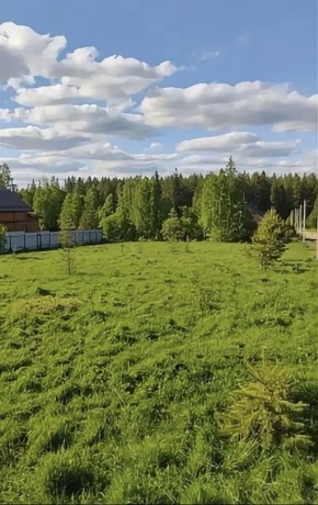 ДП Родной в Верхней Салде - verhnyaya-salda.yutvil.ru - фото 4