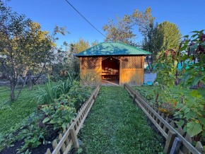 Екатеренбург сад Торгмаш, СНТ  Садовод, уч. 52 в Верхней Салде - verhnyaya-salda.yutvil.ru - фото 10