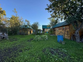 Екатеренбург сад Торгмаш, СНТ  Садовод, уч. 52 в Верхней Салде - verhnyaya-salda.yutvil.ru - фото 14