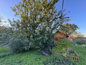 Екатеренбург сад Торгмаш, СНТ  Садовод, уч. 52 в Верхней Салде - verhnyaya-salda.yutvil.ru - фото 17