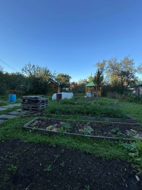 Екатеренбург сад Торгмаш, СНТ  Садовод, уч. 52 в Верхней Салде - verhnyaya-salda.yutvil.ru - фото 19