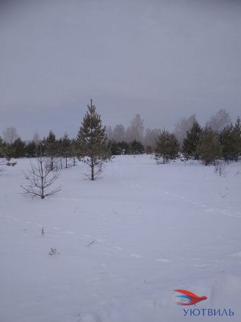 Земельный участок поселок Баженово в Верхней Салде - verhnyaya-salda.yutvil.ru - фото 5