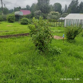 г Верхняя пышма, СНТ Мираж, уч.№ 99 в Верхней Салде - verhnyaya-salda.yutvil.ru - фото 11