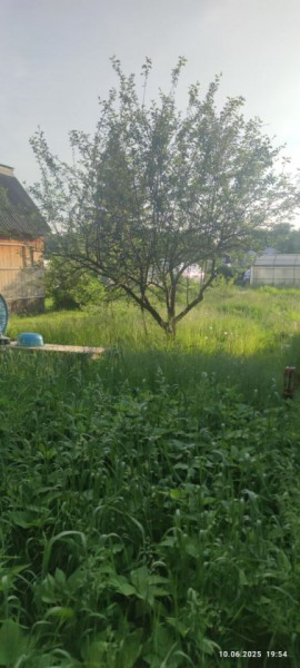 г Верхняя пышма, СНТ Мираж, уч.№ 99 в Верхней Салде - verhnyaya-salda.yutvil.ru - фото 19