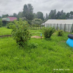 г Верхняя пышма, СНТ Мираж, уч.№ 99 в Верхней Салде - verhnyaya-salda.yutvil.ru - фото 22