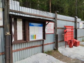 г.Верхняя Пышма СНТ №5 Березки в кв. 22 Среднеуральского Уралмашевского лесхоза в Верхней Салде - verhnyaya-salda.yutvil.ru - фото 18