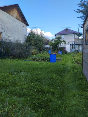 Коллективный сад номер 7, участок 58 в Верхней Салде - verhnyaya-salda.yutvil.ru - фото 26 Коллективный сад номер 7, участок 58 в Верхней Салде - verhnyaya-salda.yutvil.ru - фото 26