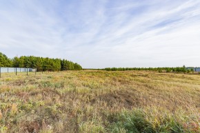 Российская Федерация, Свердловская область, Сысертский городской округ, территория садоводческого некоммерческого товарищества Бобровские дачи, улица Каштановая, земельный участок № 38 в Верхней Салде - verhnyaya-salda.yutvil.ru - фото 16