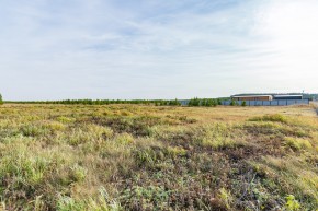 Российская Федерация, Свердловская область, Сысертский городской округ, территория садоводческого некоммерческого товарищества Бобровские дачи, улица Каштановая, земельный участок № 38 в Верхней Салде - verhnyaya-salda.yutvil.ru - фото 24