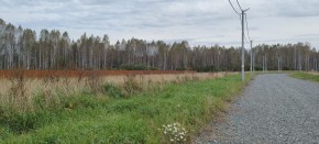 с. Новоалексеевское, КП Оникс, в Верхней Салде - verhnyaya-salda.yutvil.ru - фото 2 с. Новоалексеевское, КП Оникс, в Верхней Салде - verhnyaya-salda.yutvil.ru - фото 2