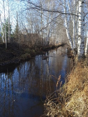 СНТ Берёзка в Верхней Салде - verhnyaya-salda.yutvil.ru - фото 14