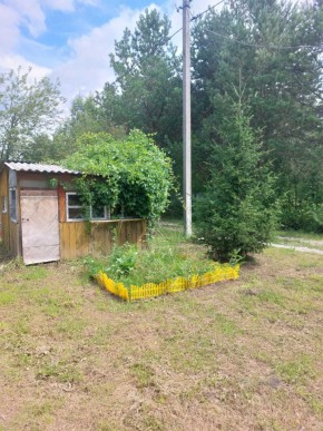 СНТ Родники в Верхней Салде - verhnyaya-salda.yutvil.ru - фото 2