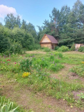 СНТ Родники в Верхней Салде - verhnyaya-salda.yutvil.ru - фото 3