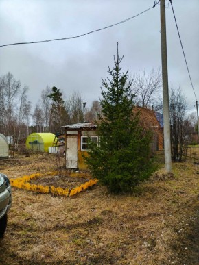СНТ Родники в Верхней Салде - verhnyaya-salda.yutvil.ru - фото 5