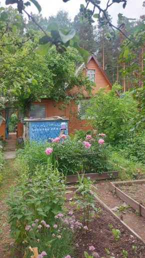 СНТ Садовод-24 в Верхней Салде - verhnyaya-salda.yutvil.ru