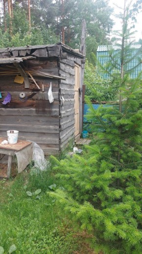 СНТ Садовод-24 в Верхней Салде - verhnyaya-salda.yutvil.ru - фото 13