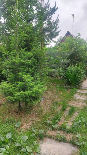 СНТ Садовод-24 в Верхней Салде - verhnyaya-salda.yutvil.ru - фото 15