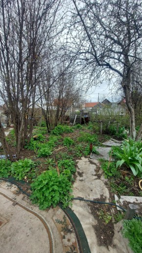 СНТ Сирень, уч. 38 в Верхней Салде - verhnyaya-salda.yutvil.ru - фото 7
