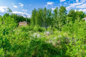 снт. СТ Березовая роща (КК:1801013) в Верхней Салде - verhnyaya-salda.yutvil.ru - фото 45