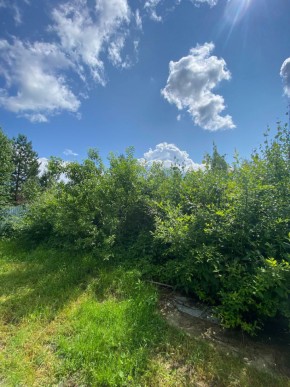 СПК Юбилейный, уч. 9 в Верхней Салде - verhnyaya-salda.yutvil.ru - фото 8