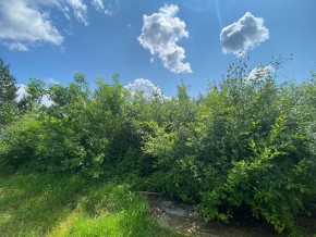 СПК Юбилейный, уч. 9 в Верхней Салде - verhnyaya-salda.yutvil.ru - фото 9