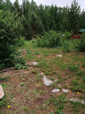 СТН Семья №112, Верхняя пышма на землях бывшего подсобного хозяйтва верхнепышминского опытного завода в Верхней Салде - verhnyaya-salda.yutvil.ru - фото 17 СТН Семья №112, Верхняя пышма на землях бывшего подсобного хозяйтва верхнепышминского опытного завода в Верхней Салде - verhnyaya-salda.yutvil.ru - фото 17