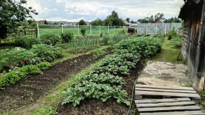 ул. 8-е Марта,46 в Верхней Салде - verhnyaya-salda.yutvil.ru - фото 5