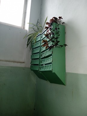 ул. Бажова,11 в Верхней Салде - verhnyaya-salda.yutvil.ru - фото 3 ул. Бажова,11 в Верхней Салде - verhnyaya-salda.yutvil.ru - фото 3