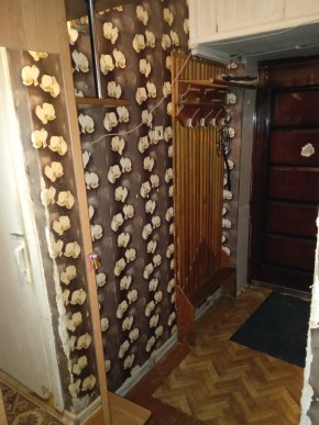 ул. Бажова,11 в Верхней Салде - verhnyaya-salda.yutvil.ru - фото 9 ул. Бажова,11 в Верхней Салде - verhnyaya-salda.yutvil.ru - фото 9