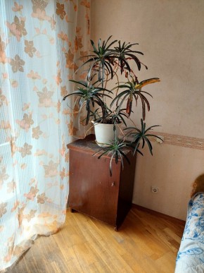 ул. Индустрии,29 в Верхней Салде - verhnyaya-salda.yutvil.ru - фото 4