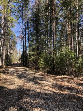 ул. Калиновая,9 в Верхней Салде - verhnyaya-salda.yutvil.ru - фото 2 ул. Калиновая,9 в Верхней Салде - verhnyaya-salda.yutvil.ru - фото 2