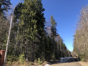 ул. Калиновая,9 в Верхней Салде - verhnyaya-salda.yutvil.ru - фото 4 ул. Калиновая,9 в Верхней Салде - verhnyaya-salda.yutvil.ru - фото 4