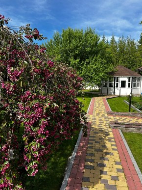 ул. Первомайская,220 в Верхней Салде - verhnyaya-salda.yutvil.ru - фото 2
