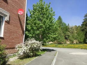 ул. Сосновая, 8 в Верхней Салде - verhnyaya-salda.yutvil.ru - фото 25 ул. Сосновая, 8 в Верхней Салде - verhnyaya-salda.yutvil.ru - фото 25