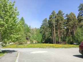 ул. Сосновая, 8 в Верхней Салде - verhnyaya-salda.yutvil.ru - фото 26 ул. Сосновая, 8 в Верхней Салде - verhnyaya-salda.yutvil.ru - фото 26
