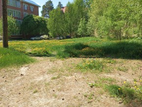 ул. Сосновая, 8 в Верхней Салде - verhnyaya-salda.yutvil.ru - фото 33 ул. Сосновая, 8 в Верхней Салде - verhnyaya-salda.yutvil.ru - фото 33