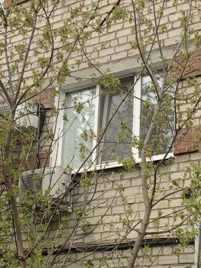 ул. Таганская,8 в Верхней Салде - verhnyaya-salda.yutvil.ru - фото 14