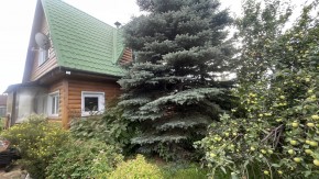 ул. Центральная,12 в Верхней Салде - verhnyaya-salda.yutvil.ru - фото 23