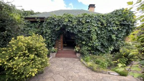ул. Центральная,12 в Верхней Салде - verhnyaya-salda.yutvil.ru - фото 6