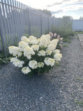 ул. Весенняя,12 в Верхней Салде - verhnyaya-salda.yutvil.ru - фото 20