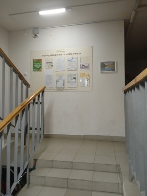 ул. Высокая,7 в Верхней Салде - verhnyaya-salda.yutvil.ru - фото 8 ул. Высокая,7 в Верхней Салде - verhnyaya-salda.yutvil.ru - фото 8